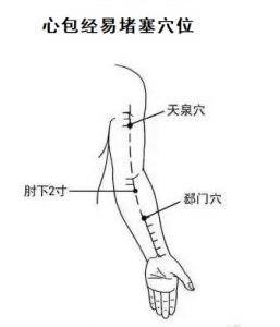 十二经络足阳明胃经穴位走向,胃部经络最易堵塞三个穴位
