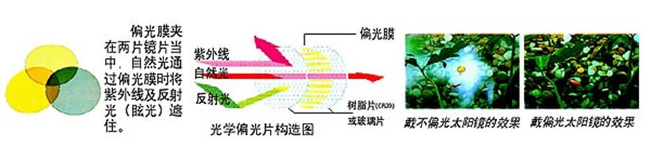 太阳镜销售十大技巧,7-12岁太阳镜