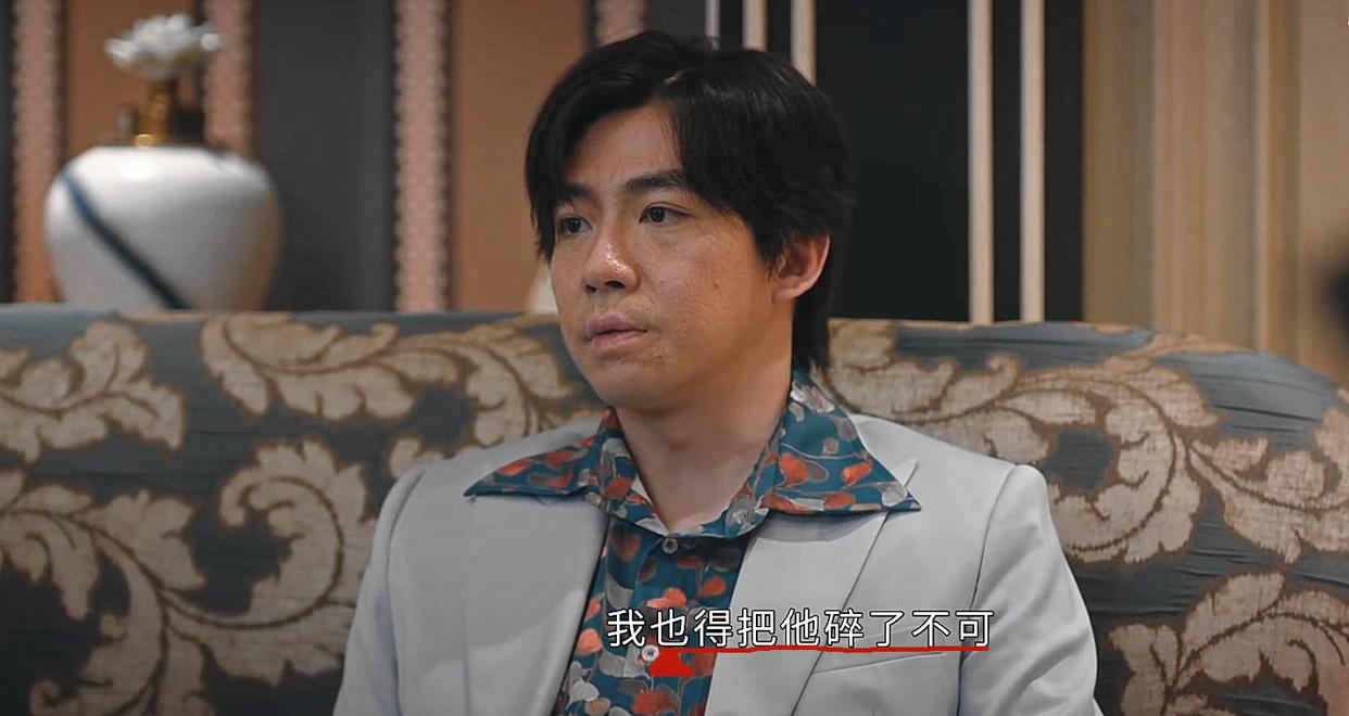 《他是谁》大结局蒋广善落网，赵世杰父亲是幕后凶手？却逃脱制裁