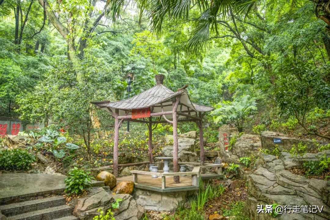 白云山民宿排行榜前十名,广州山上最美民宿推荐