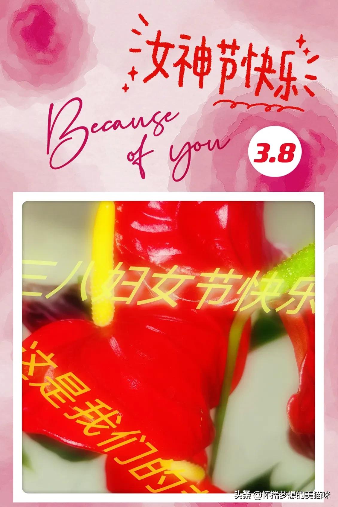 三八节送祝福语简短,三八妇女节搞笑祝福图片