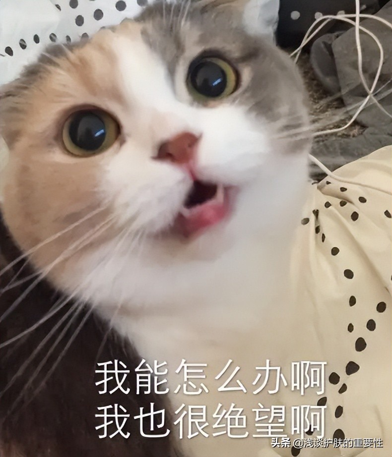 90%的女生皮肤爱出油都是因为这个，教你2招护肤变清爽