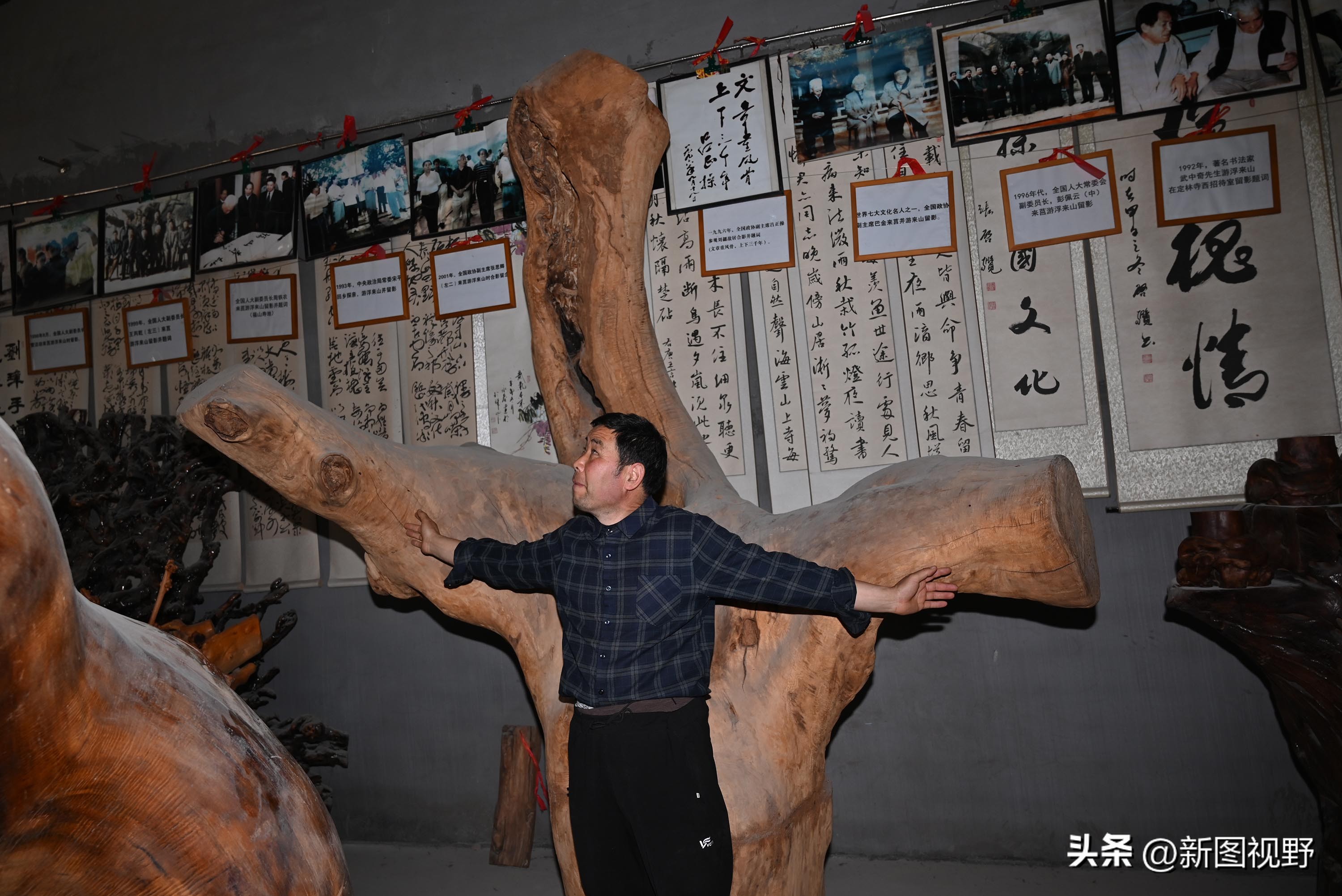 55岁农民，花60万买了一堆古树，每天做着发财梦，睡到自然醒