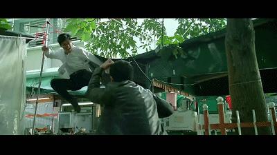 推荐几部甄子丹最能打的动作电影,甄子丹拍过三部巅峰时期动作片