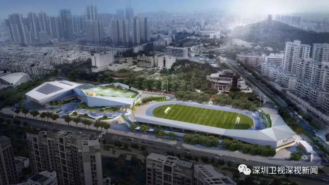 深圳市2024年度十项民生实事出炉,深圳2019民生微实事项目库