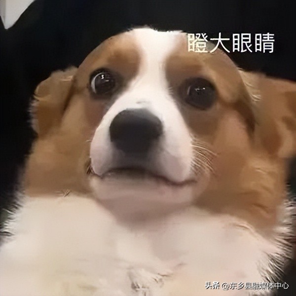 新骗术当面转账钱竟然没有了,送水果骗术反诈预警