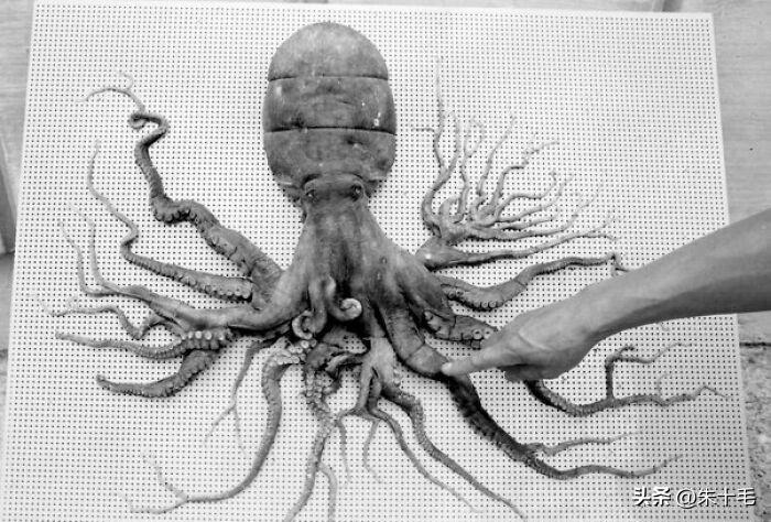 经典老照片奥巴马,奥巴马年轻篮球照片