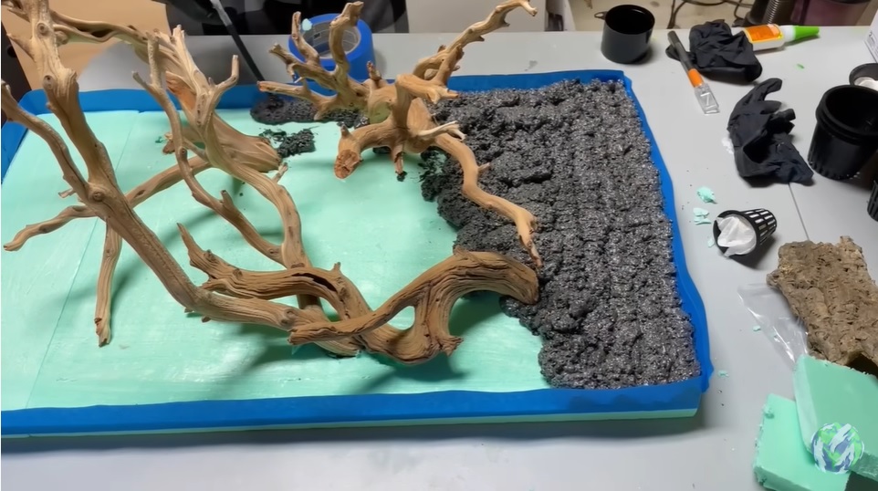 美国小哥在卧室建出一缸热带雨林，食物链环环相扣，太强了