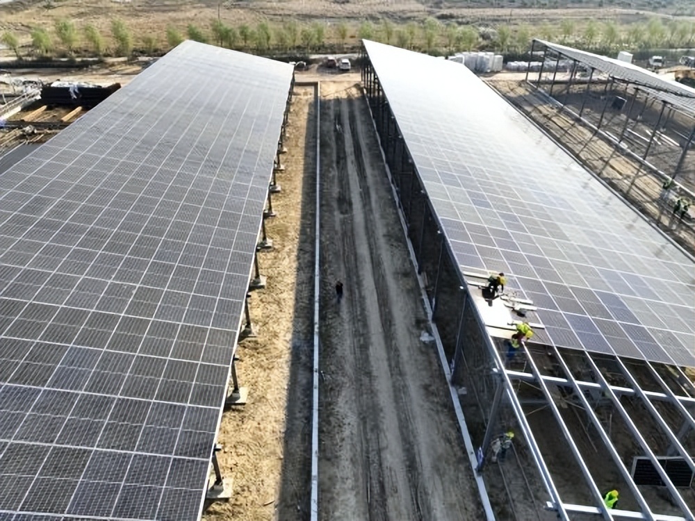 “提效冲刺”看区县·高青｜八项指标第一是如何得来的？