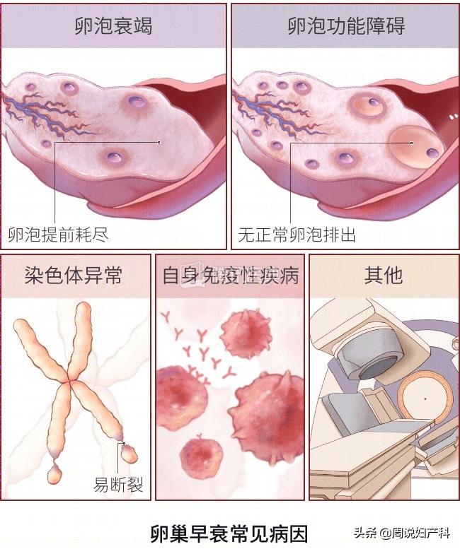 26岁未结婚的女人是什么状态,26岁还没结婚的女人都在想什么