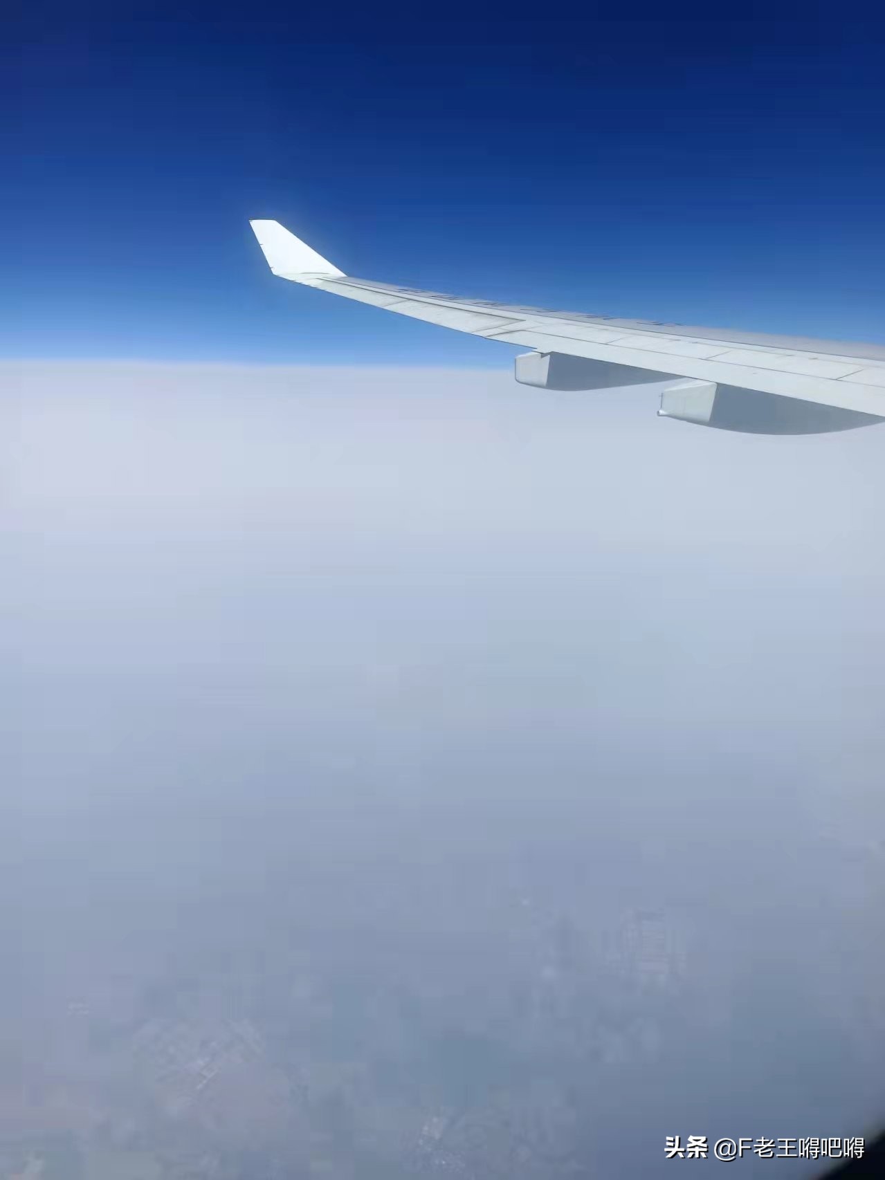 日本拟放宽入境限制,日本入境最详细流程