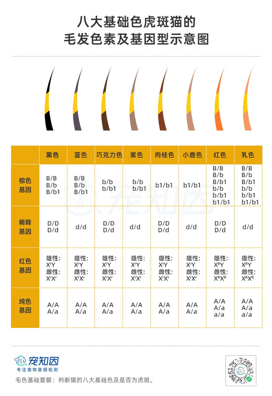 基因克隆最新突破,基因最新突破
