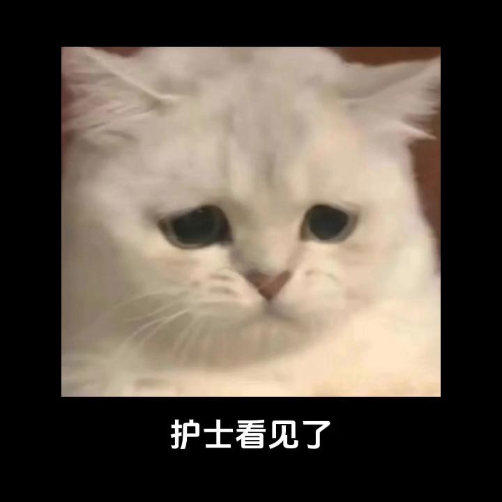 男朋友意外去世了，我要怎么才能见到他#情感