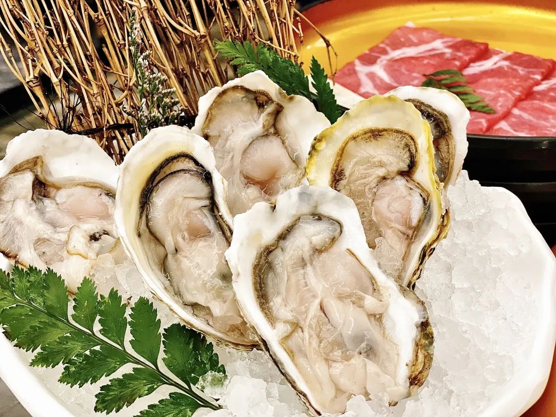 魔都牛new寿喜烧,魔都最火寿喜烧自助