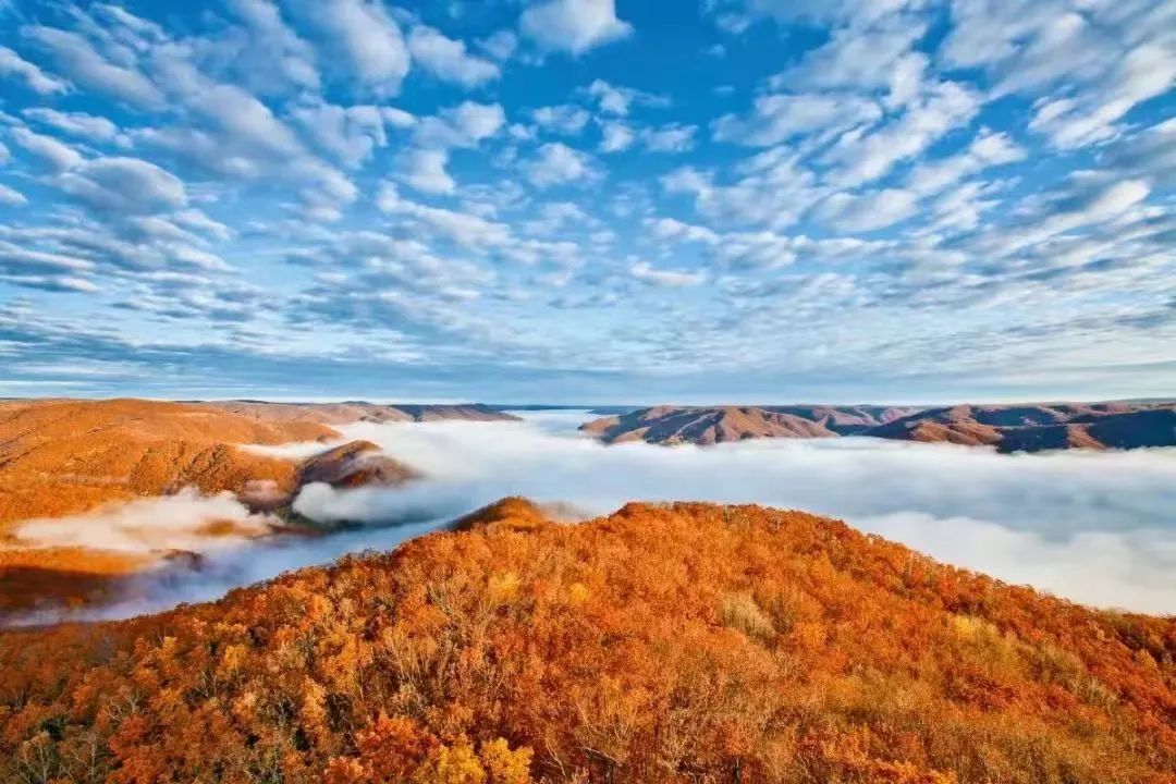 50块钱逛遍大连,50块钱逛沈阳