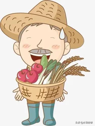 香蕉banana是啥,香蕉banana的由来