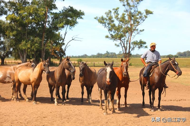 闃挎牴寤风殑姘旇川鏄笌鐢熶勘鏉ョ殑,闃挎牴寤蜂笌鐢熶勘鏉ョ殑鎮叉儏姘旇川