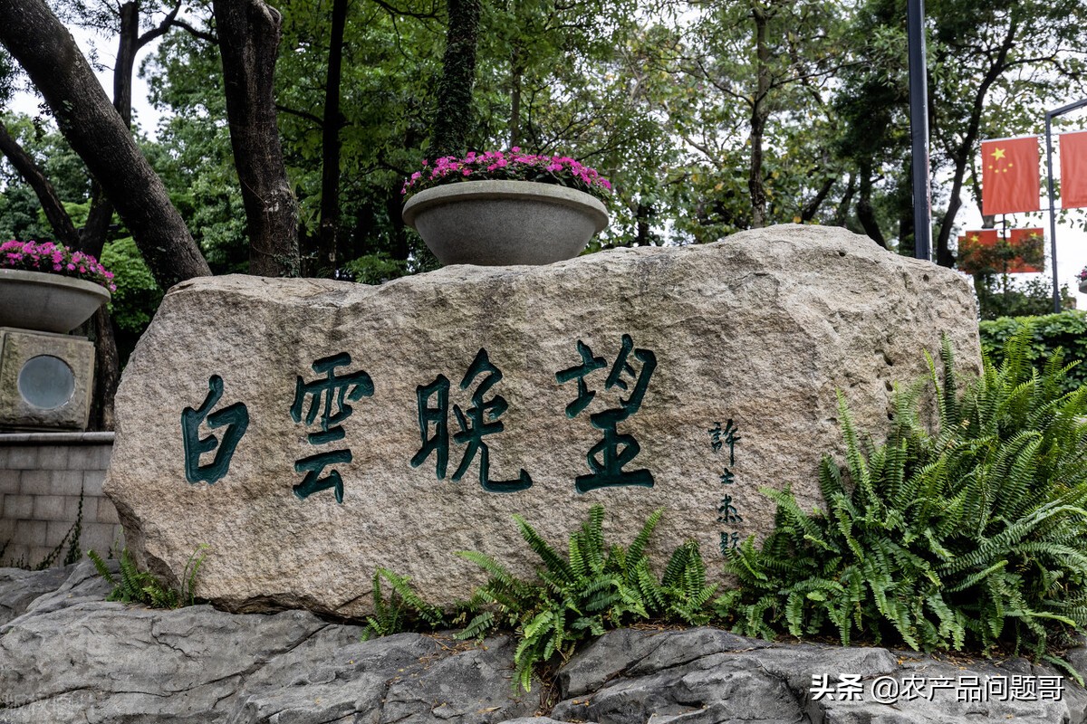 广州天河区农副产品交易市场,广州白云区太和农产品批发市场