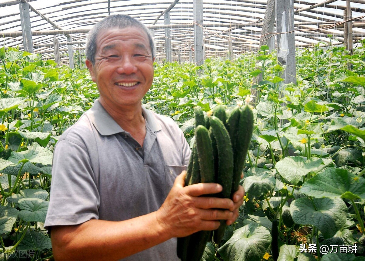 彻底清除根线虫,线虫虫卵怎么杀灭