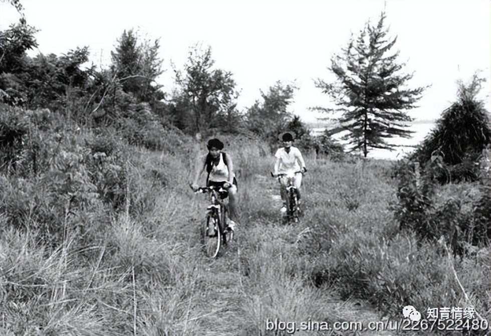 我当知青那些年,我当知青