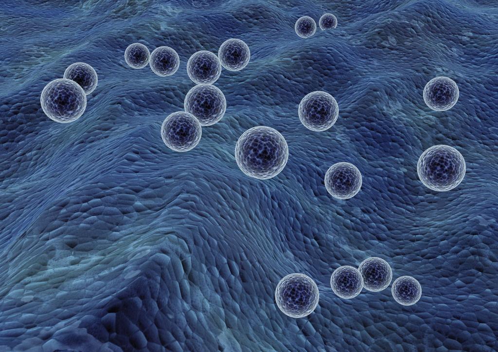 谷丙转氨酶高多少可以判定为肝癌,谷丙转氨酶偏高多少才是肝癌