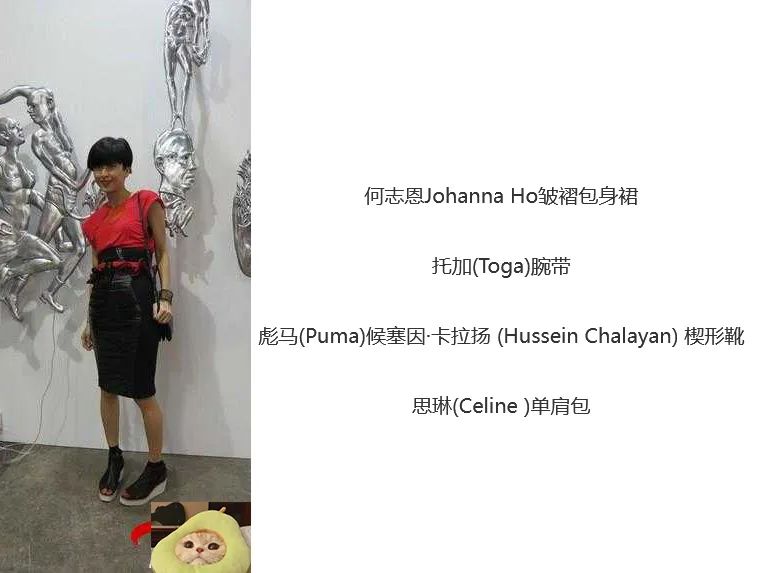 顶级明星的收入,顶级歌手一年版权收入