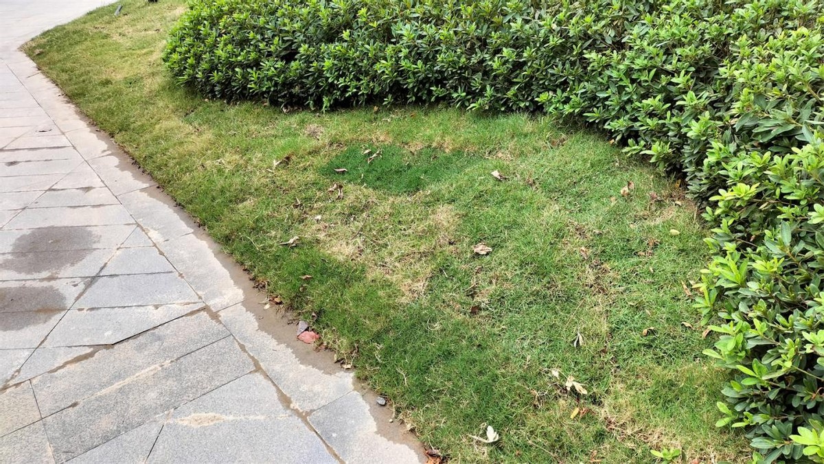 乐富强文宸悦府最近情况,乐富强文宸悦府是小庙吗