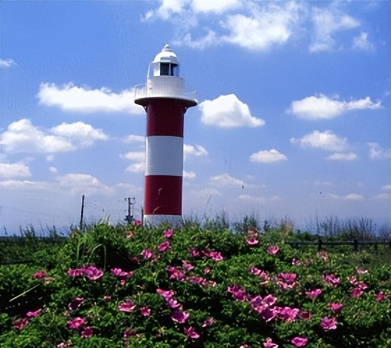 北海道的薰衣草花海在哪里,日本北海道薰衣草花海图片