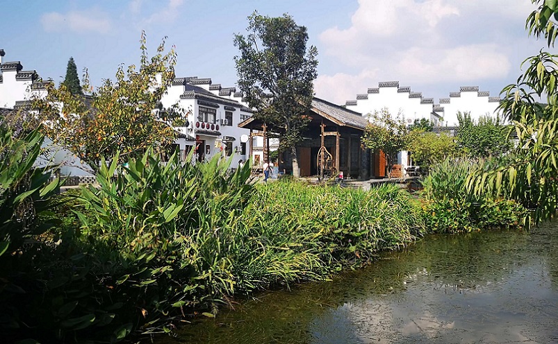 12月南京有哪些免费景点,南京市民免费旅游景点