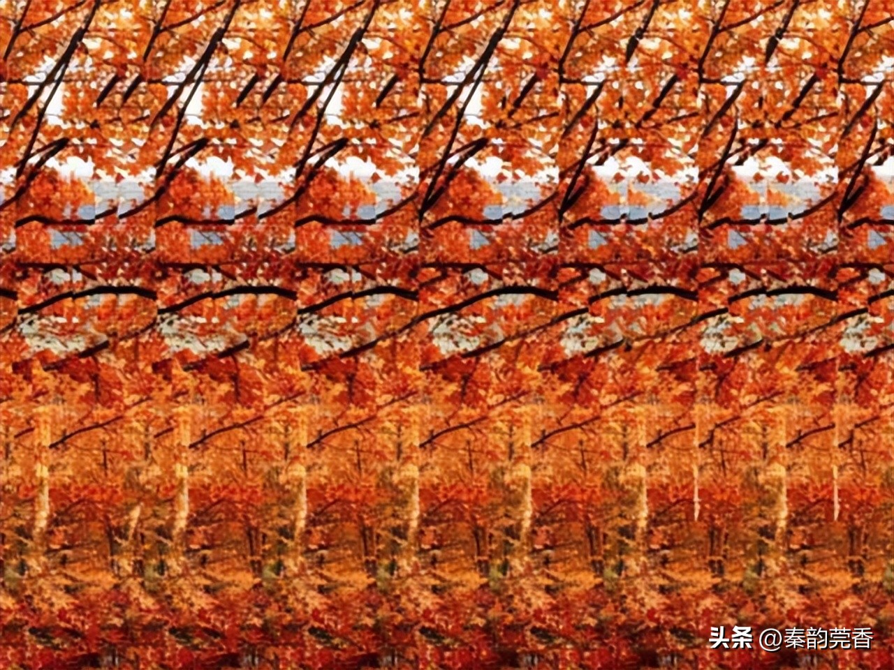 三维立体图能发现什么,三维立体图找隐藏图片