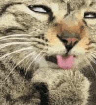 塞进去容易拔出来难,妹子着急死了哈哈哈哈哈哈！真的尴尬啊