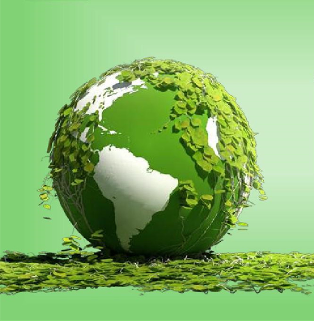 全球最大生命体活了近8000岁,世界上最大的生命体