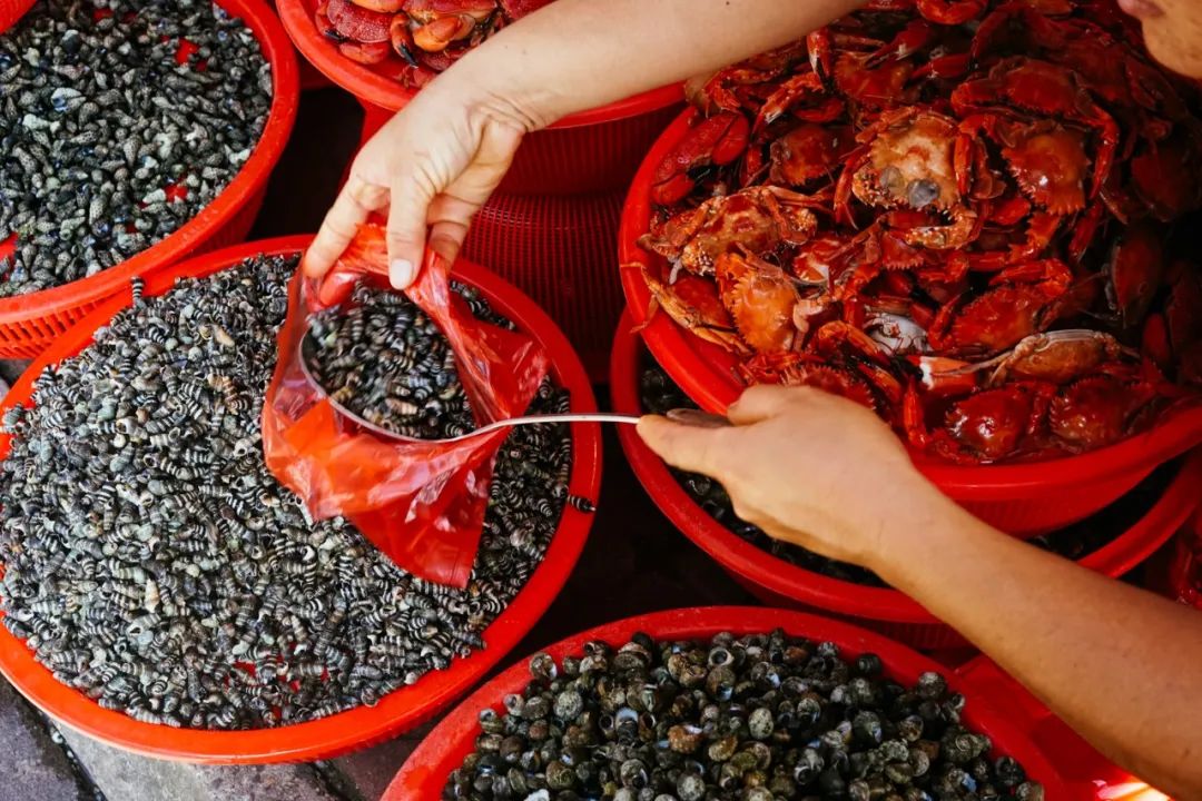 早餐烤乳猪，海鲜论盆卖？这座海岛小城舒坦得有点离谱了