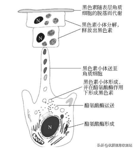 美容书单,美容知识书单
