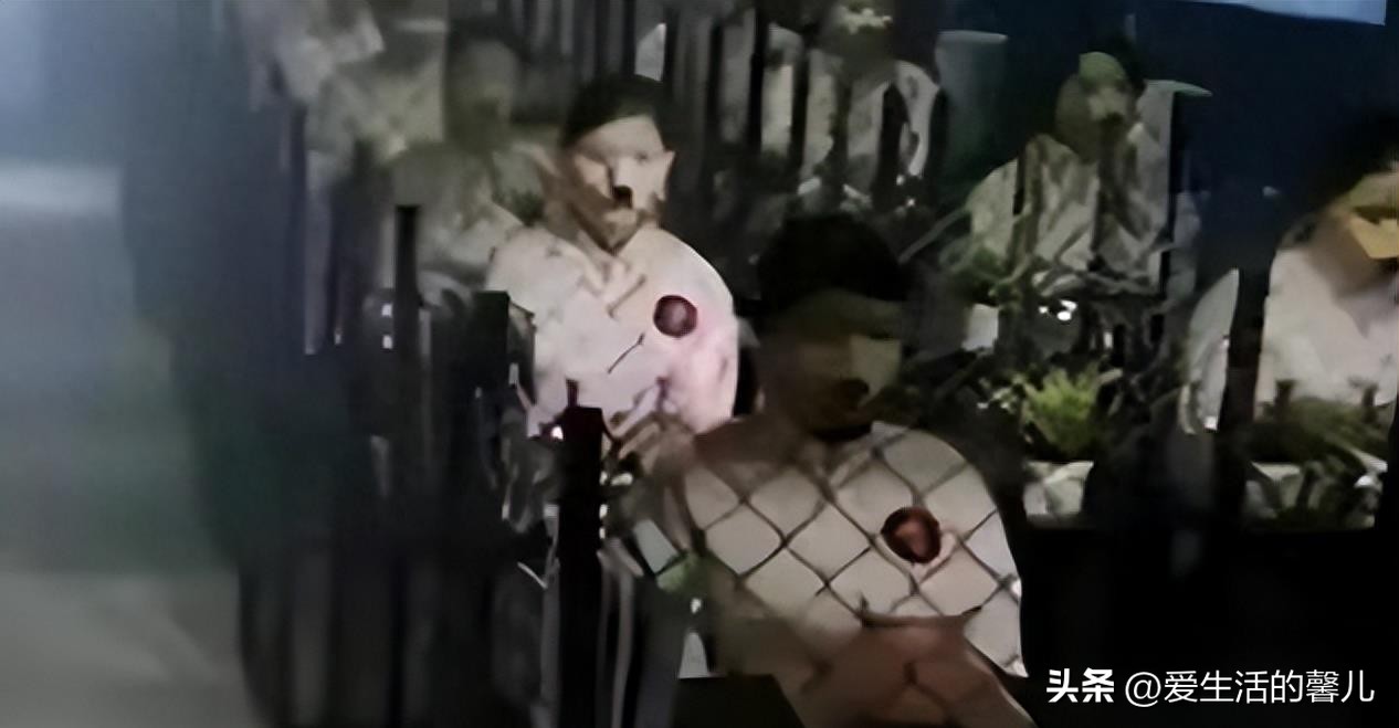 缅北训狗真实事件,缅北训狗场上万女性被困