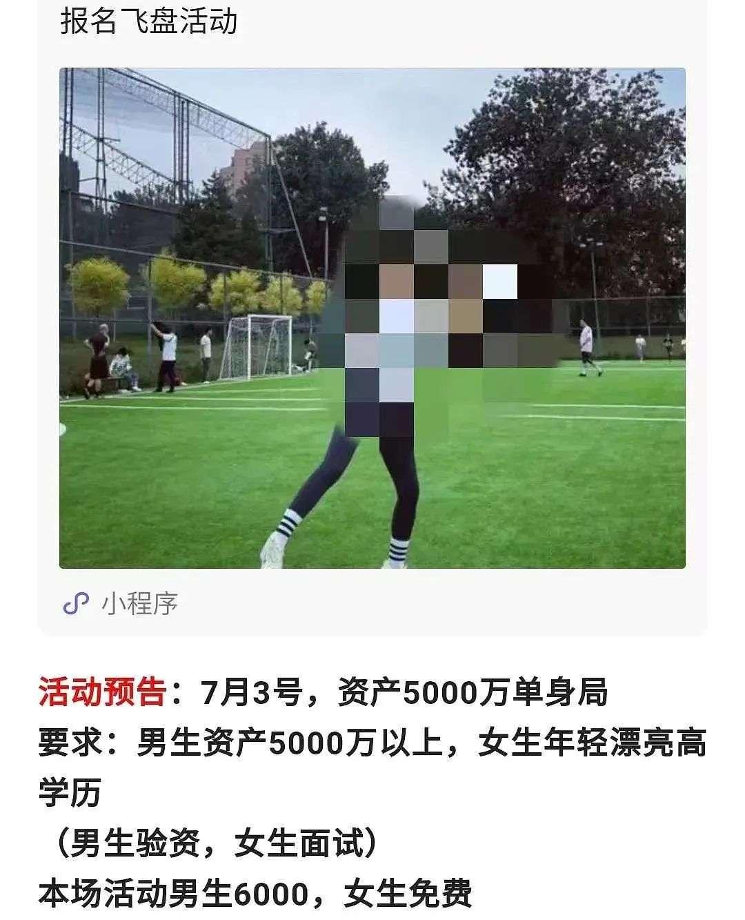 飞盘经营收益,飞盘火爆背后