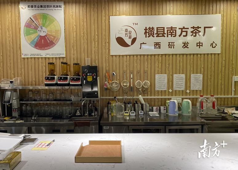 遇见横州：好一朵美丽的茉莉花｜中国十大茶王评比实地考察②