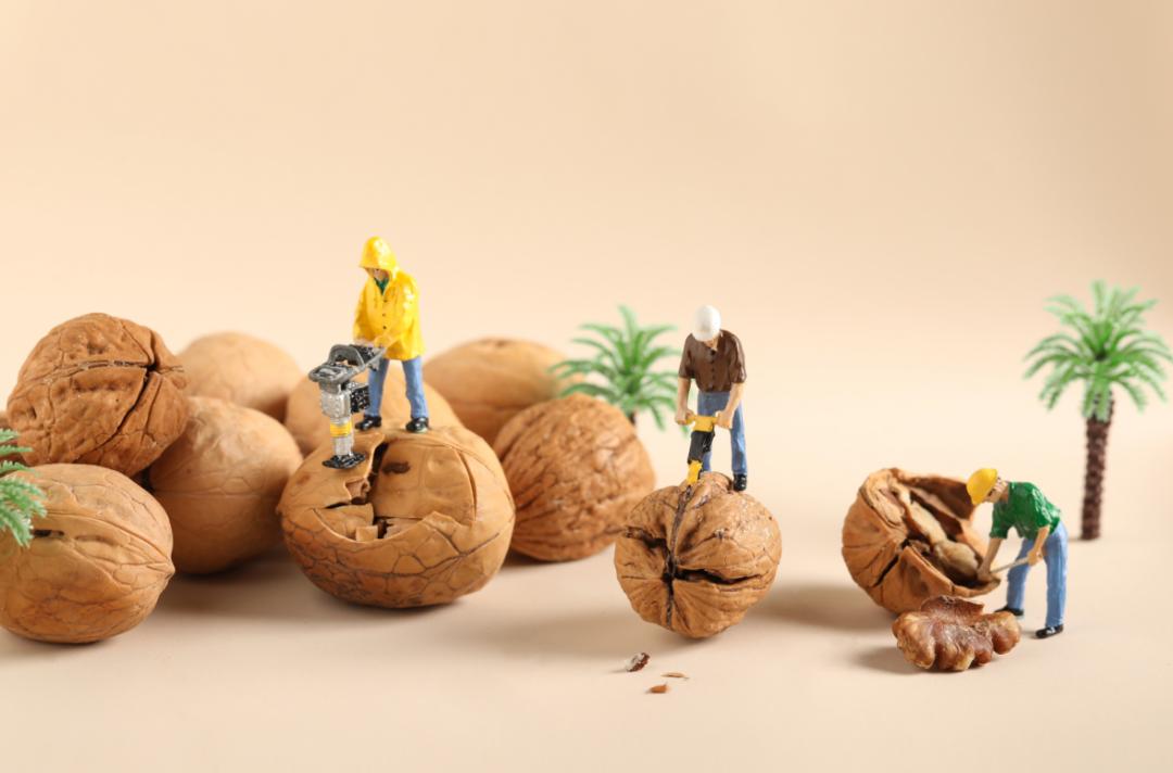 每日坚果销量第一名,每日坚果开创者