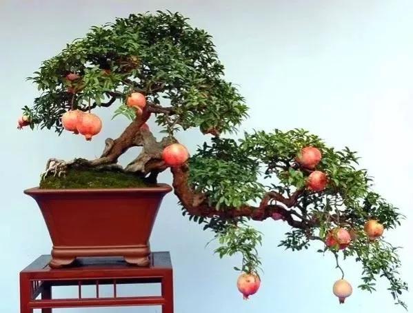 笑口常开好运自然来,笑口常开好运自然来下一句