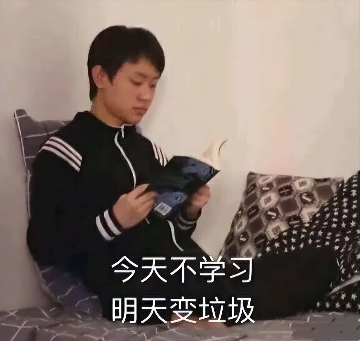 高中生表情包：学习使我妈快乐