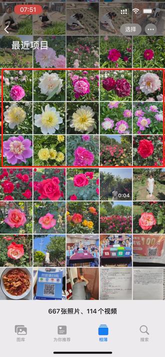 手机ai抠图与ps抠图,一键抠图苹果手机抠图怎么抠