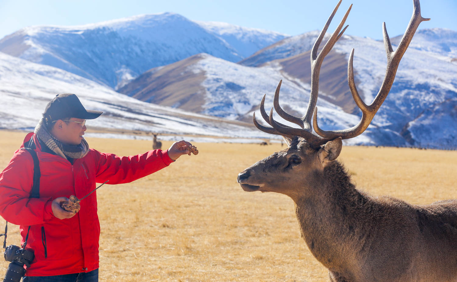 *藏西**小城以大山为名，雪山湖泊马鹿美如画，被称为东方小瑞士