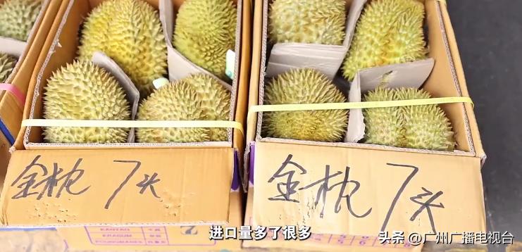 国内的新鲜榴莲从哪里来,进口6000吨榴莲