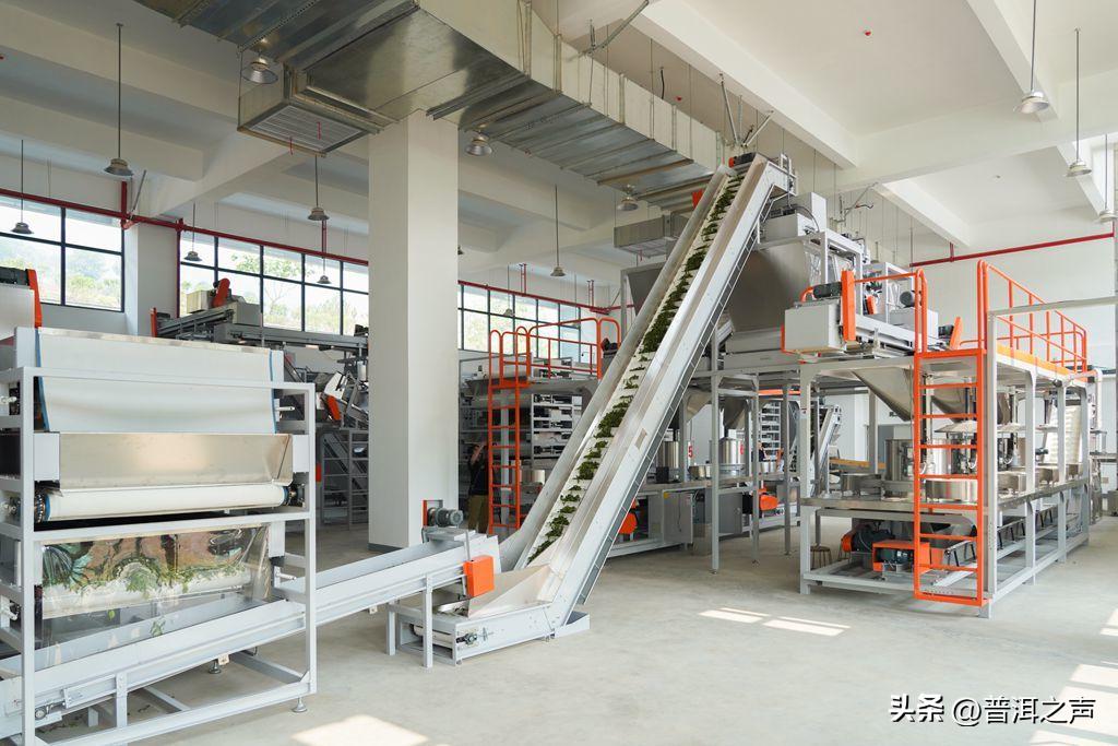 景迈山制茶,全国首条智能制茶工在景迈山上岗