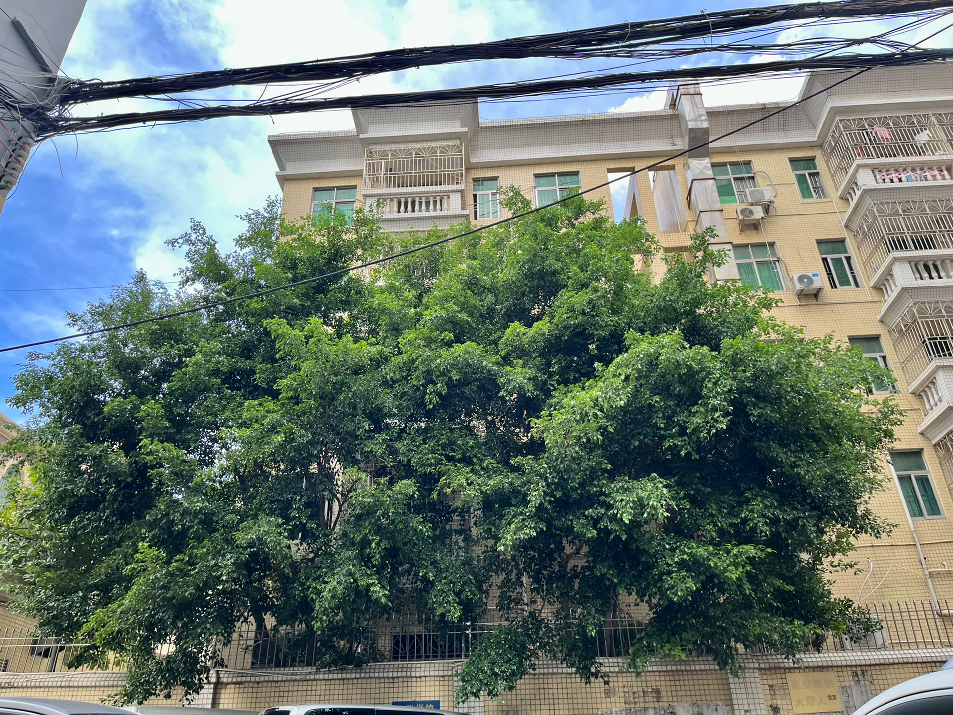 为什么*靠我**中视频月入过万？我总结了几个重要因素！