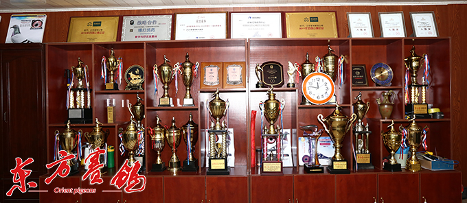 为赛鸽早生华发写春秋——江苏爱翔公棚董事长李伦十一载心系赛鸽情