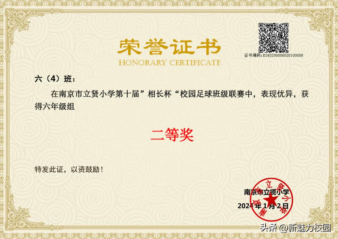 南京市晓庄小学校园足球联赛,区长杯小学校园足球联赛