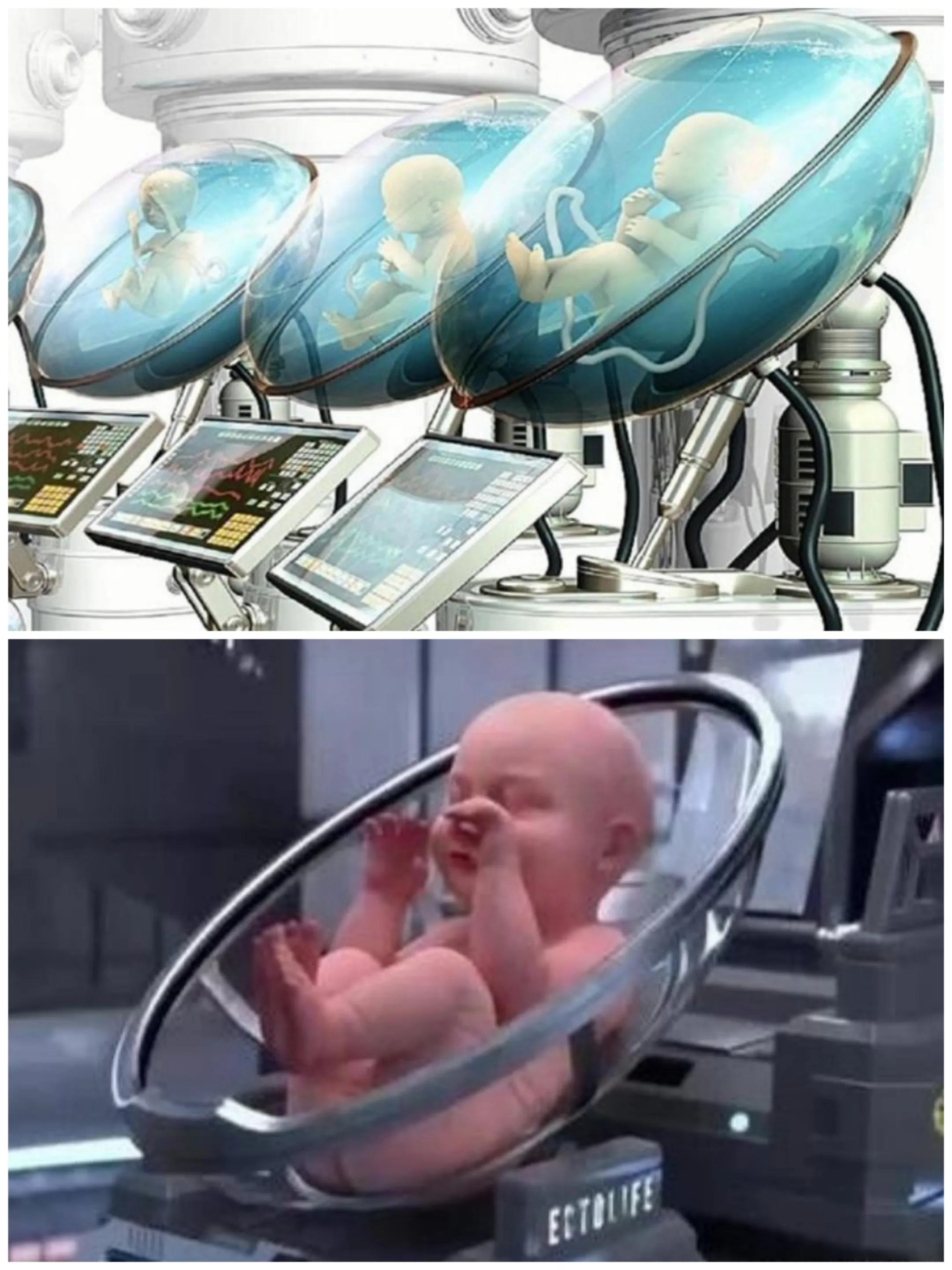 在抖音上评论人造子宫的视频，没想到网友竟在网上“吵”了起来。