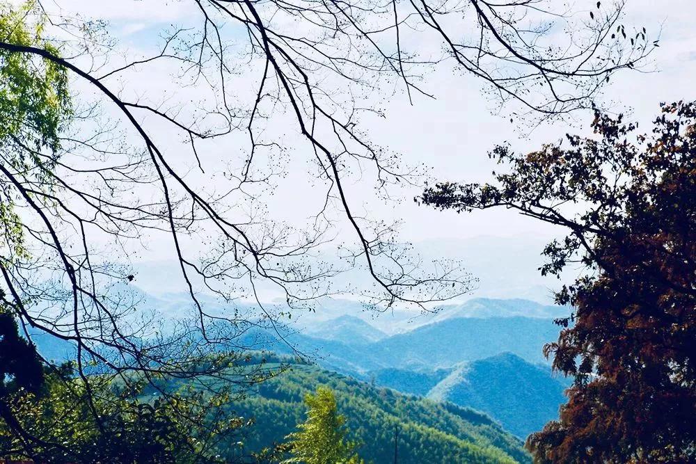 跟莫干山民宿一样精致的民宿,莫干山特色民宿推荐