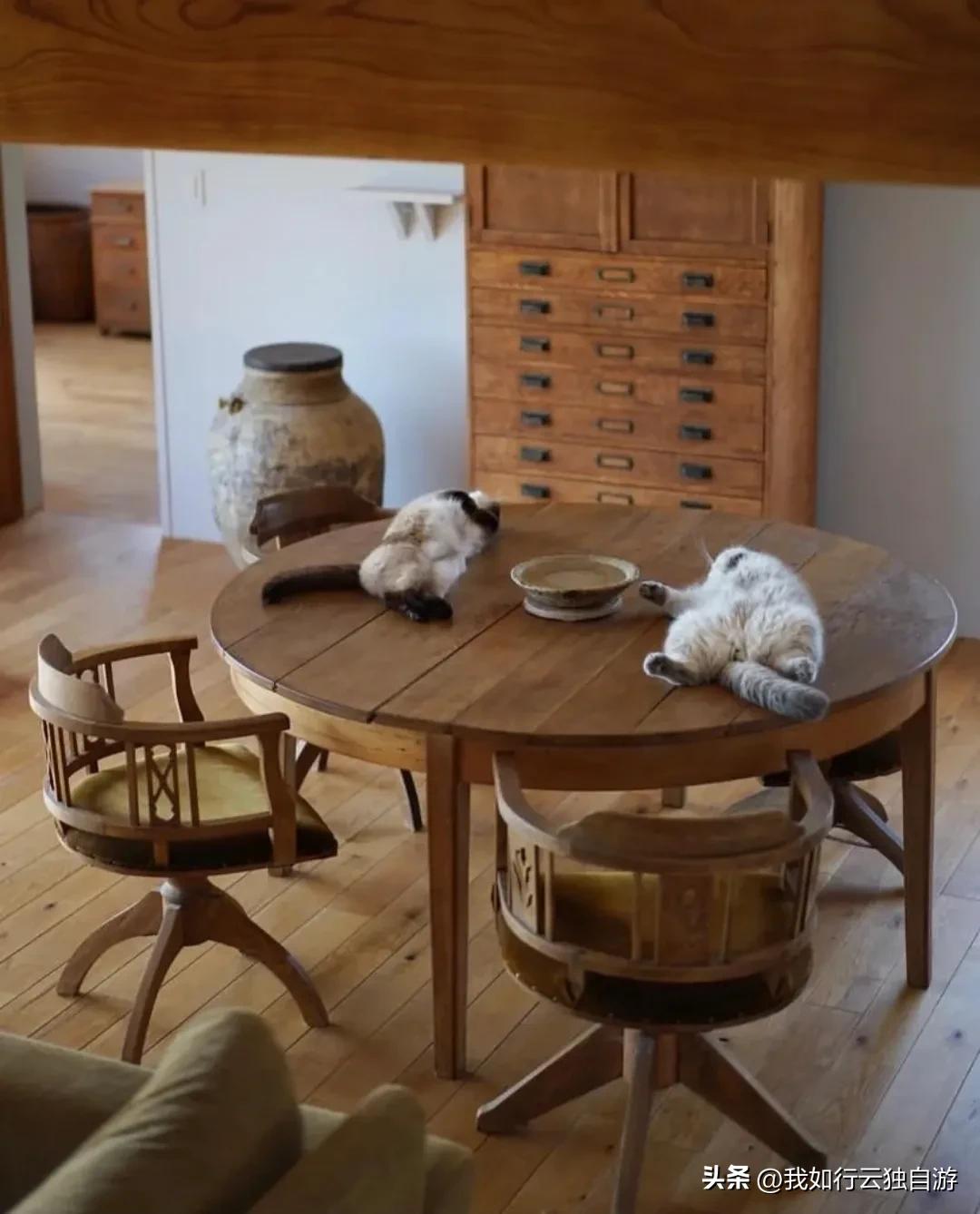 日本中古之家：与古家具和猫咪一起生活的日本博主